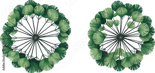 Abstract tree canopy illustration, circular green foliage pattern viewed from above for nature design, botanical art, eco concept vector background