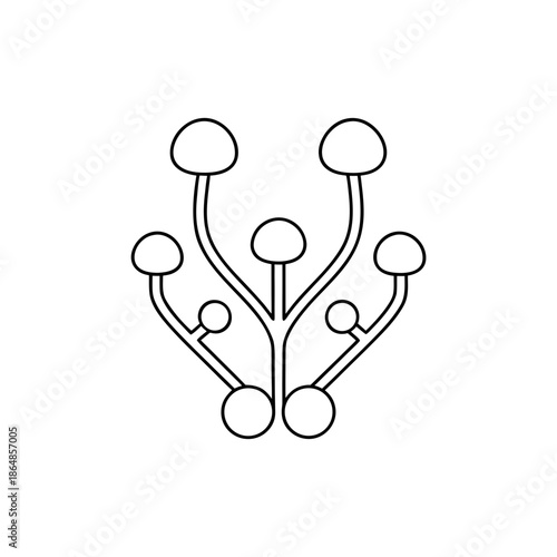 fungal networks line art vector illustration on transparent background