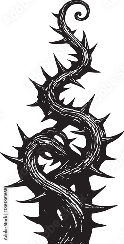 Thorny Vine with Lettering - Black and White Illustration