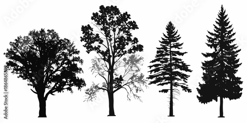 Silhouettes of varied trees against a plain white background illustration