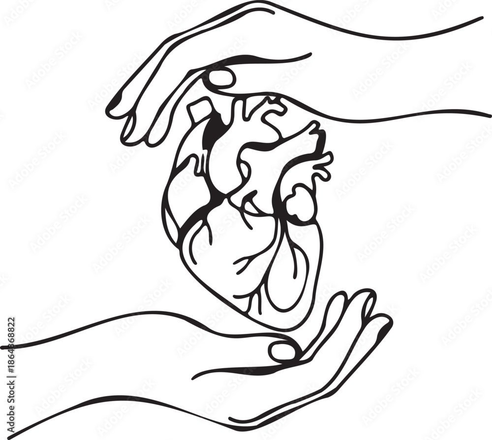 Obraz premium A delicate line art illustration showing hands gently cradling a human heart symbolizing care high quality professional detailed modern elegant stylish clean crisp vibrant colorful digital