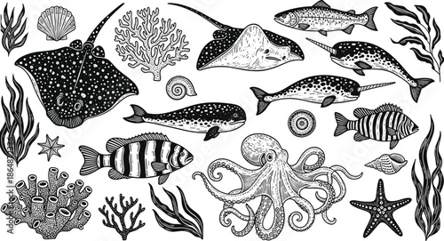 Marine life silhouette illustration, stingray vector art, octopus drawing, narwhal design, tropical fish artwork, coral reef graphic, underwater biodiversity, aquatic nature concept image