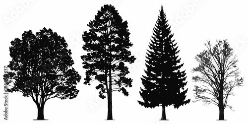 Silhouette of four diverse trees against a plain white background
