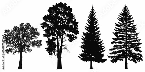 Silhouettes of various coniferous and deciduous trees against a white background