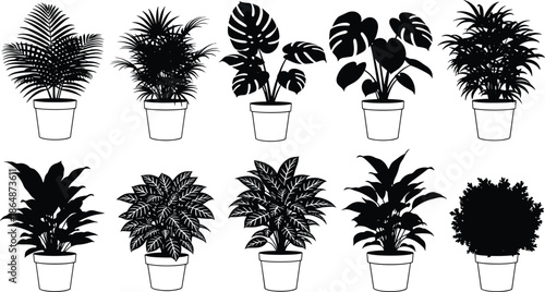 Houseplant silhouette, indoor plant, CAD drawing, flat vector, botanical sketch, leaf shape, potted plant, black foliage, home decor, minimalist art