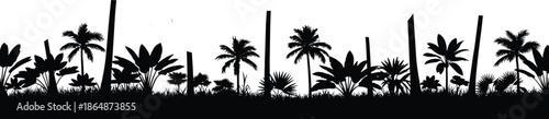 Tropical palm tree silhouette illustration, jungle vegetation vector art, rainforest plant drawing, black and white artwork, exotic nature design, lush greenery concept image