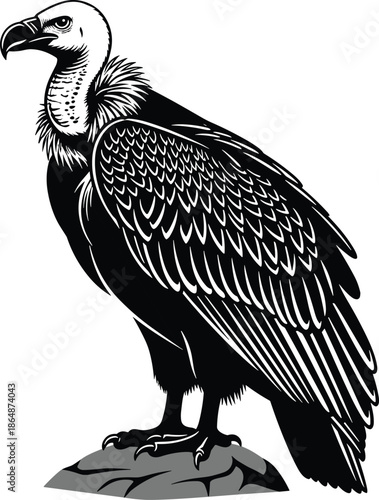 Vulture silhouette illustration, bird of prey artwork, scavenger animal vector design, perched raptor drawing, black and white wildlife art, ecological balance concept image