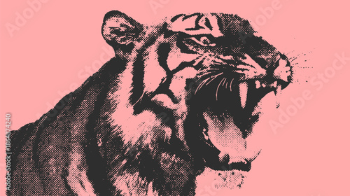 Tiger roaring in a bold style with a pink background. This fierce animal vector illustration showcases detailed features in a graphic design set.