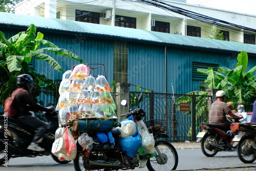 фотографія Vietnamese motorcycle loaded with goldfish bags on busy street