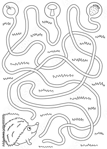 Hedgehog maze graphic black white vertical sketch illustration vector 