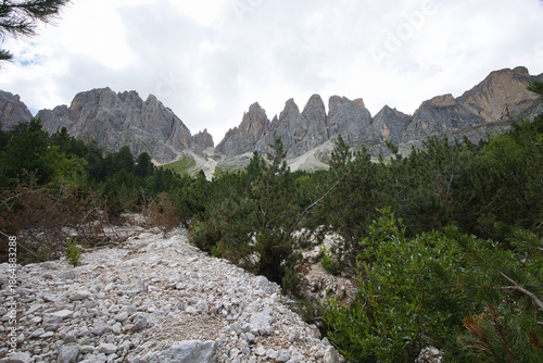 Mountain landscape at the transition from vegetation to barren rock.