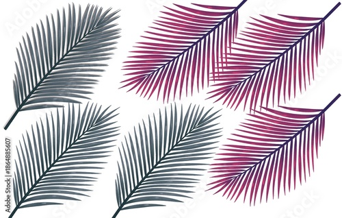 Palm Leaf Set in Gradient Colors – Minimal Tropical Botanical Collection