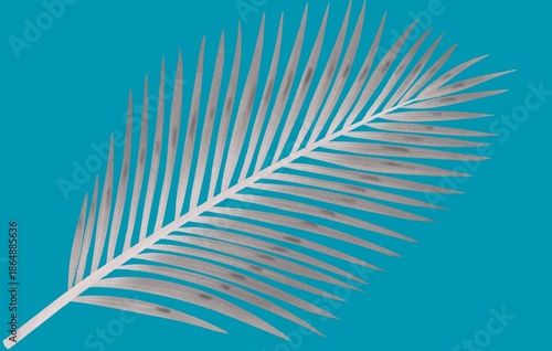 Minimal Palm Leaf on Green Background – Tropical Botanical Design