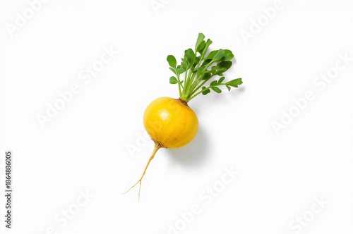 Fresh Yellow Turnip with Green Stem and Leaves Isolated on White Background