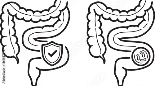 Medical icon of human large intestine and colon illustration