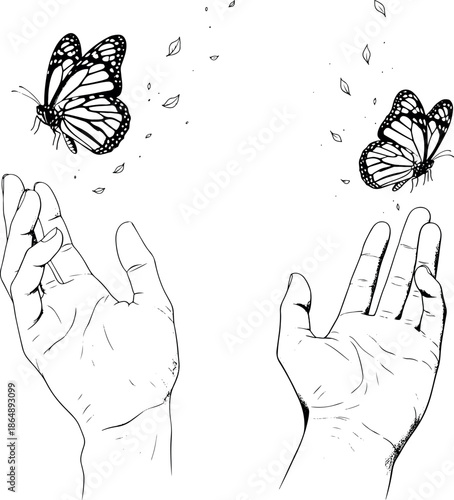 Human Hands Releasing Monarch Butterflies Line Art Vector Illustration
