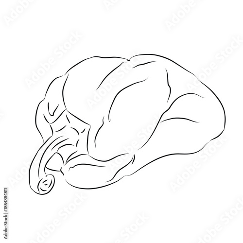 Outline drawing for bell pepper, design, bell pepper line art, hand-painting set, EPS format, Vector bell pepper branch isolated. Vector cartoon illustration. Flat icon of a vegetable branch. drawing 