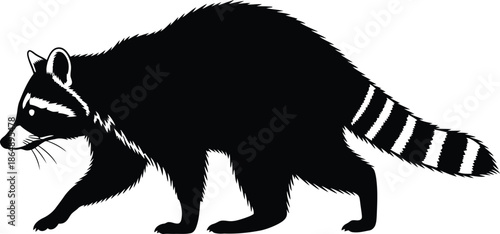 Isolated black and white vector illustration of a wild horse silhouette and nature mammal wildlife drawing