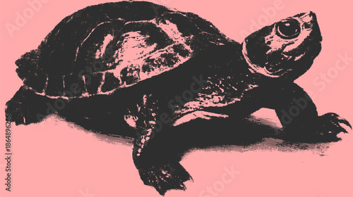 Turtle illustration in black silhouette style on a pink background. This vector graphic offers a unique design focused on nature and ecology.
