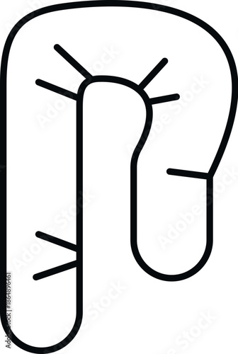 Anatomy outline of a large intestine showing human internal organ