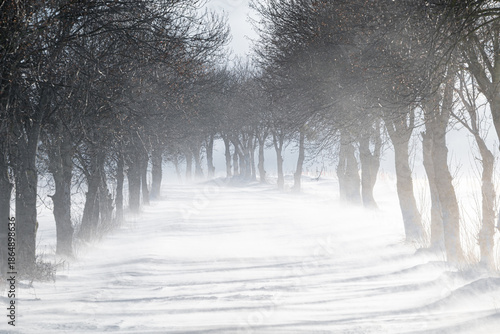 Snow-covered roads, snowstorm, strong winds, poor road conditions
