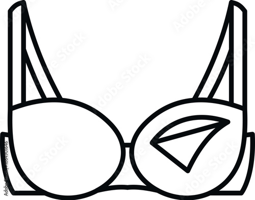 Underwear for women requiring breast prosthesis in simple vector illustration