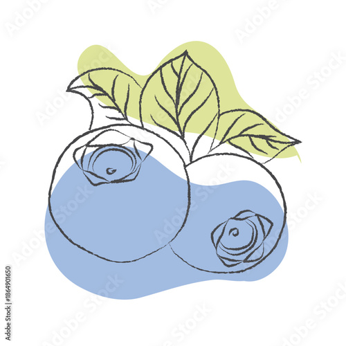 Realistic blueberries illustrations, Clean vector set ideal for packaging, label and and product design, Vector illustration of blueberry set, on a clean background, Illustration of blueberry, EPS