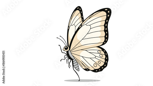 Detailed vector illustration of a beautiful cabbage white butterfly with delicate wings and antennae, isolated on a clean white background for nature concepts.