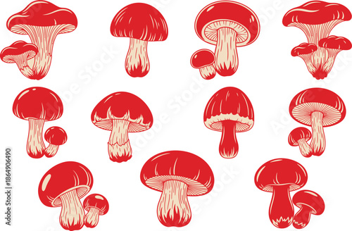 Collection of red mushrooms