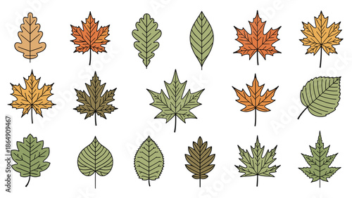 Set of eighteen colorful autumn leaves, including maple and oak, illustrated in a charming hand-drawn style with outlines for seasonal designs.
