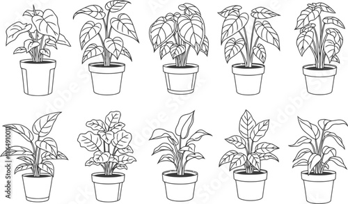 Collection of hand drawn outline potted plants in a row