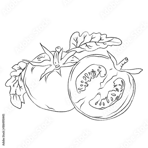 Doodle hand-drawn icon set, outline drawing of tomato slices, outline drawing of slices of tomato, vector design, vector tomato line art, hand-painting design set, EPS format