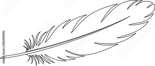 Delicate hand drawn feather illustration isolated on white background