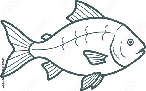 Simple outline drawing of a fish with fins and tail