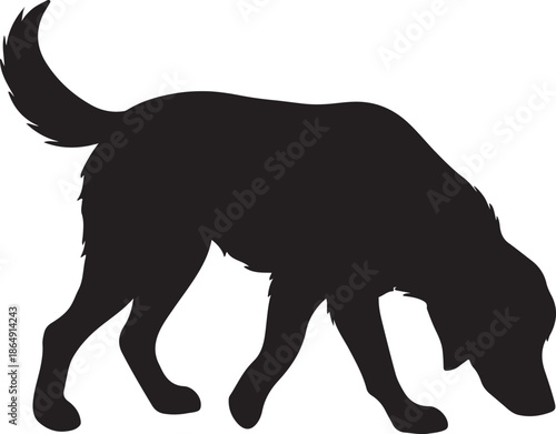Silhouette of a dog with its head lowered sniffing the ground
