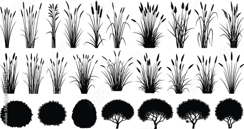 Big collection of grass and reed silhouettes, marsh cattails, garden bushes and shrubs, nature vector illustration isolated on white background