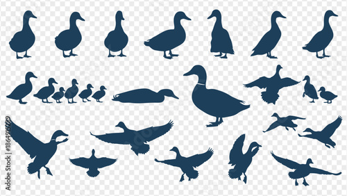 duck silhouettes on transparent background