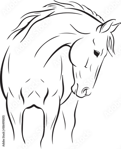A minimalist black and white line art vector of a horse seen from behind, turning its head gracefully. The clean, elegant strokes capture a quiet, contemplative moment in a classic sketch style.