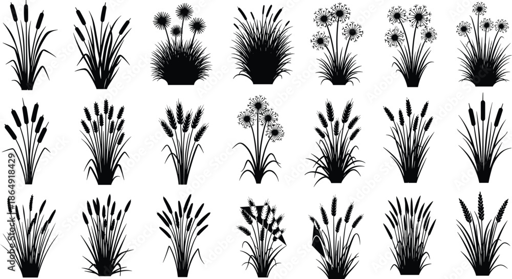 custom made wallpaper toronto digitalSet of black grass and reed silhouettes including cattails, wheat, and wild flowers, isolated meadow plants, cad drawing flat vector illustration.