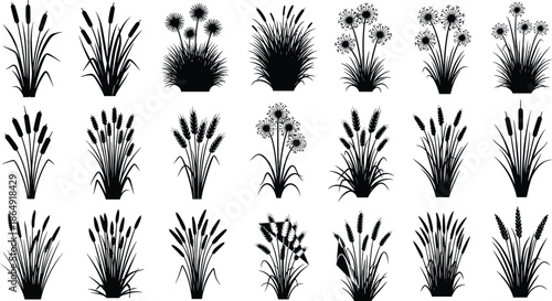 Wallpaper Mural Set of black grass and reed silhouettes including cattails, wheat, and wild flowers, isolated meadow plants, cad drawing flat vector illustration. Torontodigital.ca