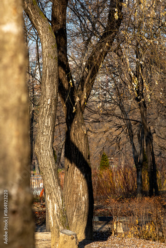 서울 숲의 겨울 이야기