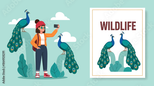 Woman Taking Pictures Of Peacocks With Mobile Phone In Nature Illustration