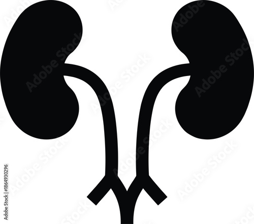 Human kidney icon silhouette, urinary system anatomy symbol, renal organ illustration, medical healthcare graphic, nephrology concept, urology design, black isolated vector
