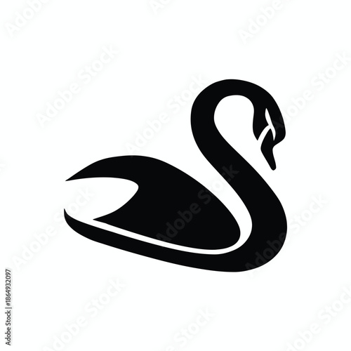 Elegant black swan isolated on white background, Vector, illustration