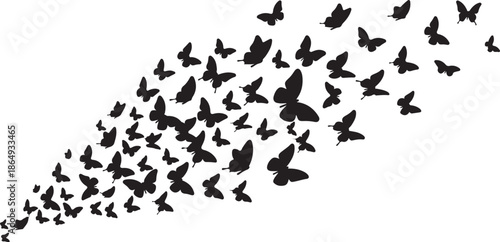 Flying Butterfly Silhouette Swarm – Freedom, Transformation and Nature Concept Illustration.