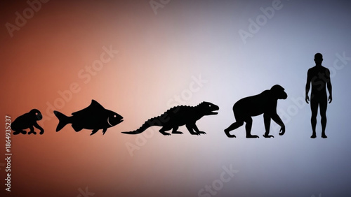 Human Evolution Silhouette Stages from Amphibian to Human on Gradient Background