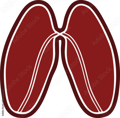 Abstract Graphic Illustration of Human Lungs in Maroon Color