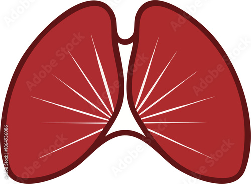 Simple Human Lungs Icon Graphic Illustration on White Background