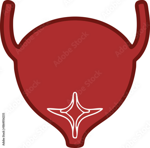 Human Bladder Anatomy Icon Medical Illustration Vector Graphic