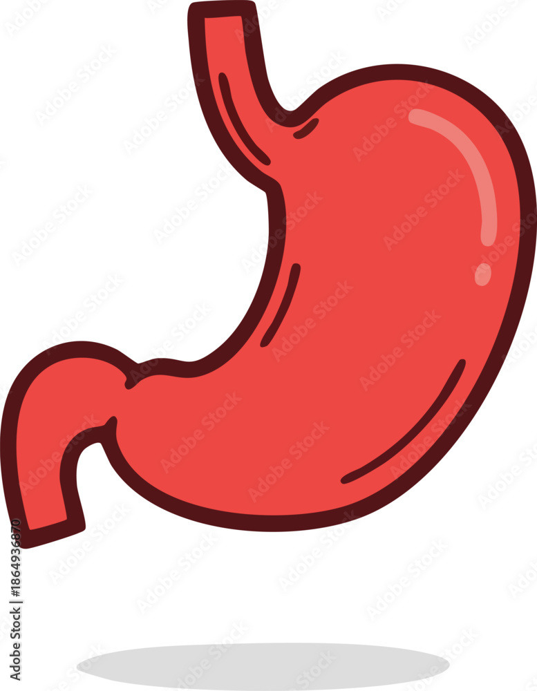 Fototapeta premium Hand Drawn Human Stomach Organ Cartoon Illustration